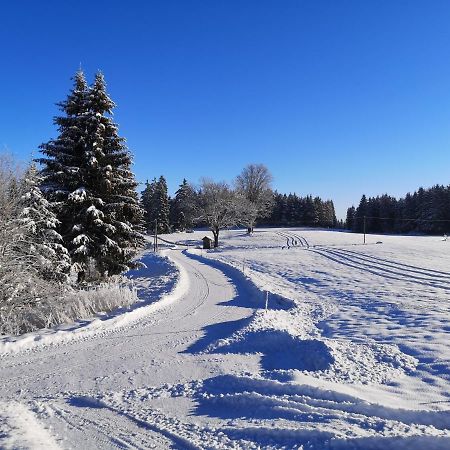 Ferienhaus Friedlhof Langschlag  ภายนอก รูปภาพ
