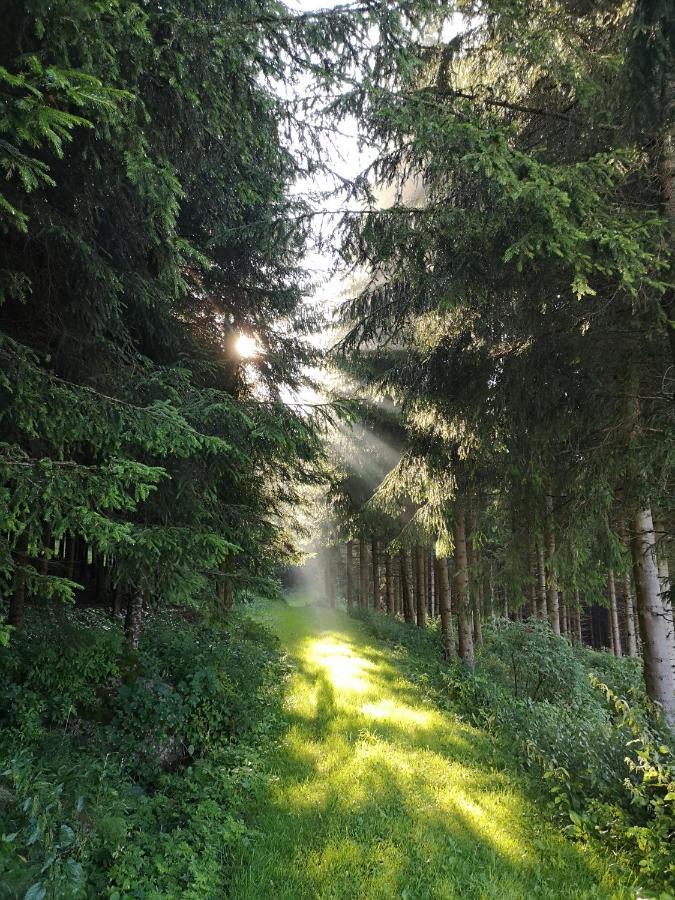 Ferienhaus Friedlhof Langschlag  ภายนอก รูปภาพ