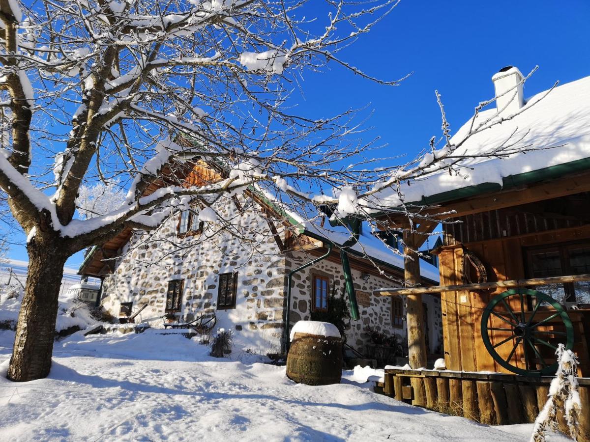 Ferienhaus Friedlhof Langschlag  ภายนอก รูปภาพ